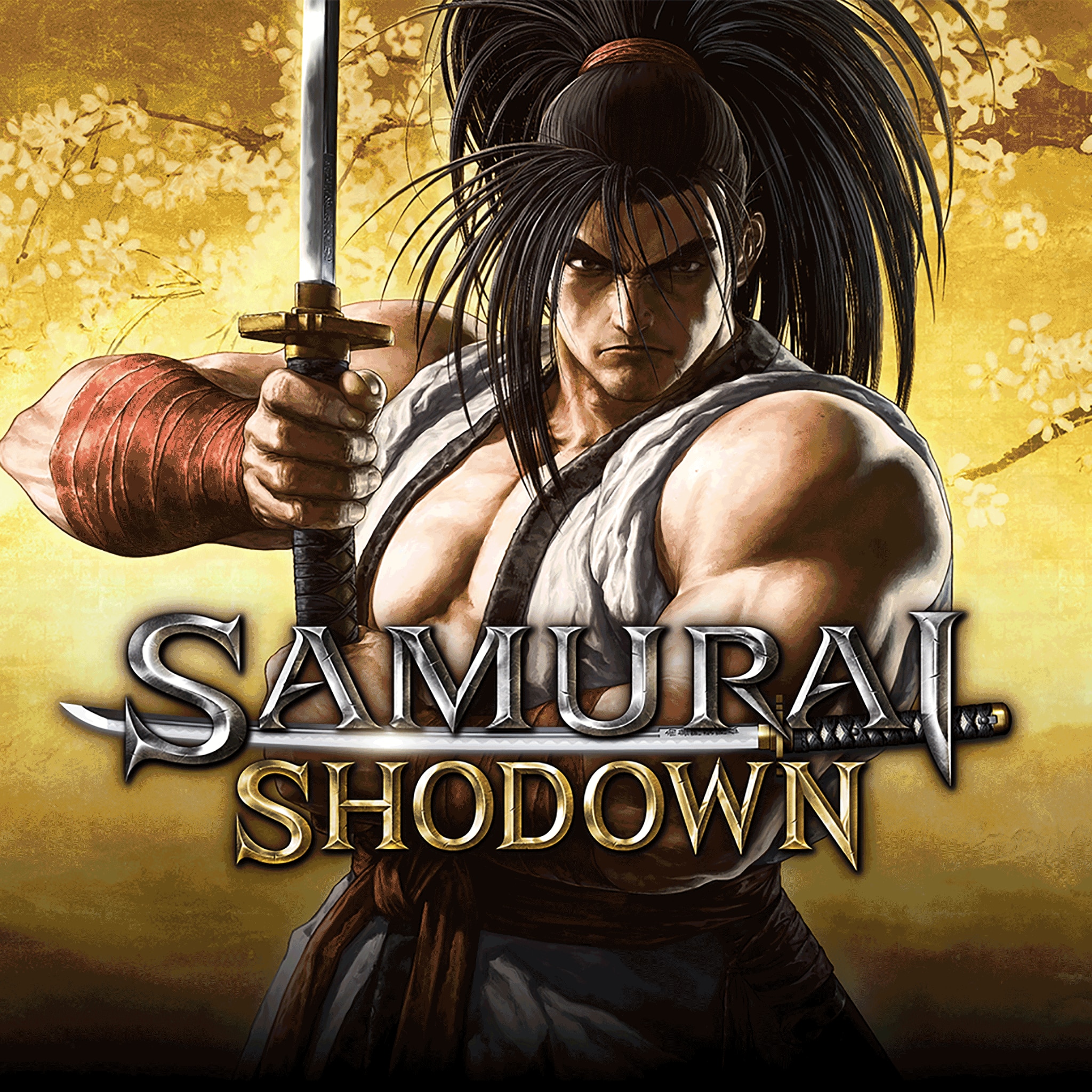 Samurai Shodown (2021) Picture