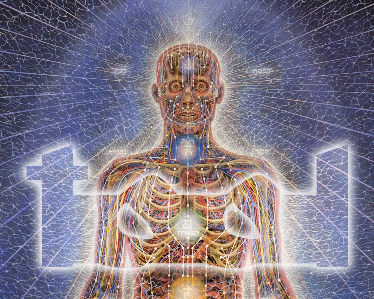Tool (Music) music Tool Image