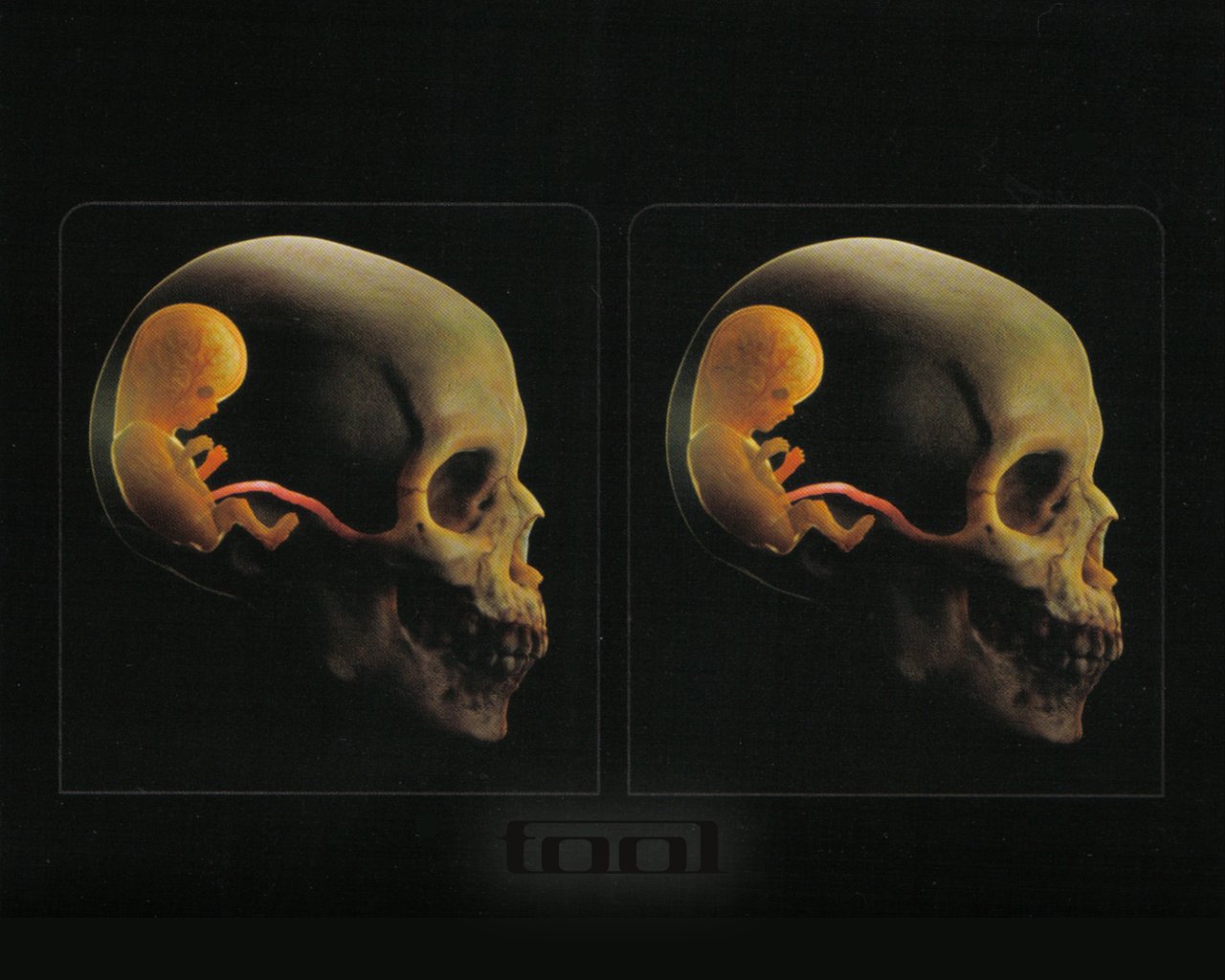 An artistic depiction featuring a skull with a fetus inside, embodying themes of life and mortality, inspired by Tool’s music and aesthetic.