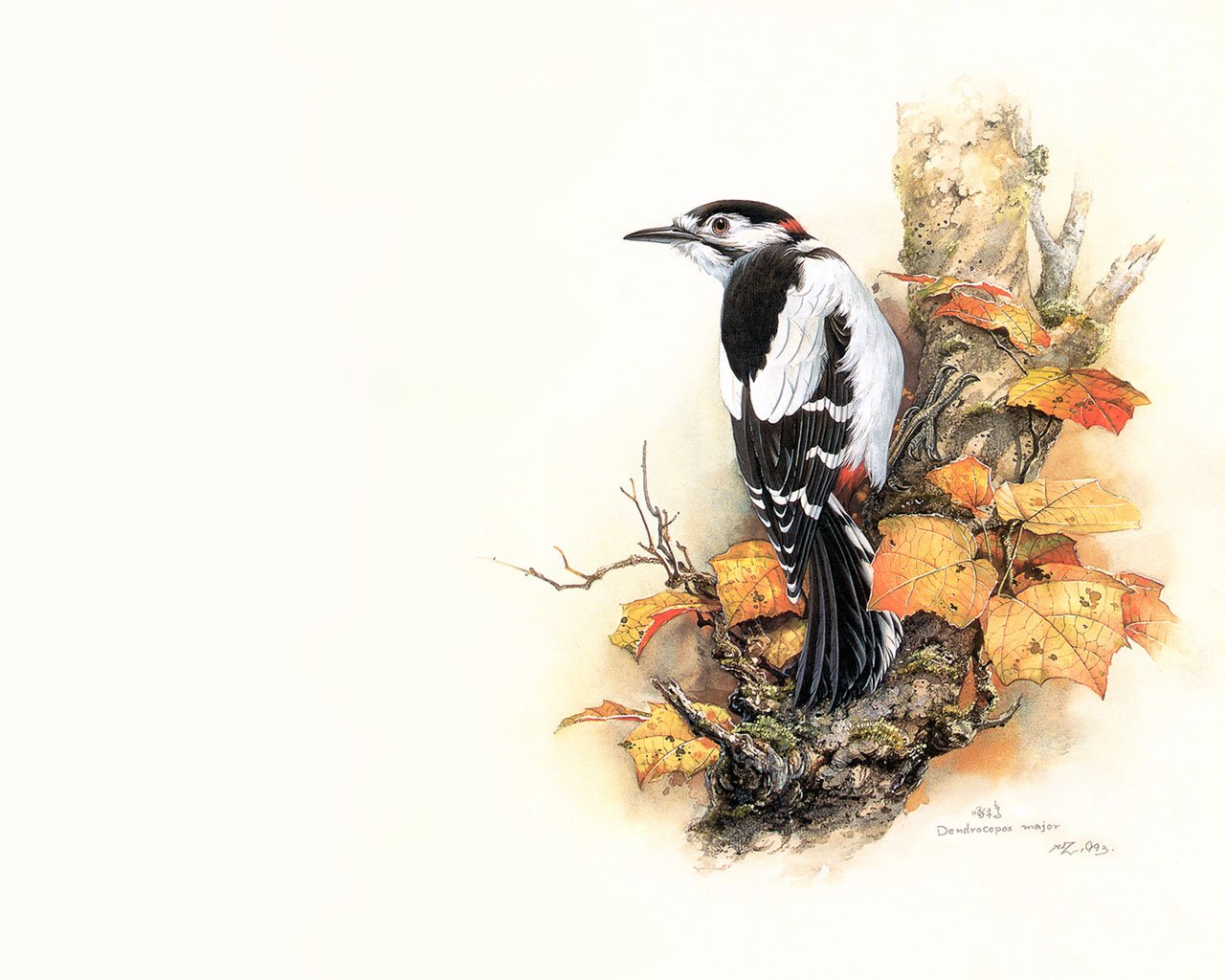 A great spotted woodpecker perches on a tree trunk adorned with autumn leaves, showcasing its striking black and white plumage and red touches.