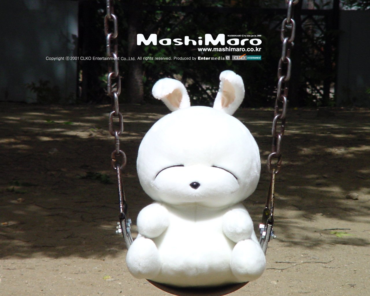 MashiMaro Picture - Image Abyss
