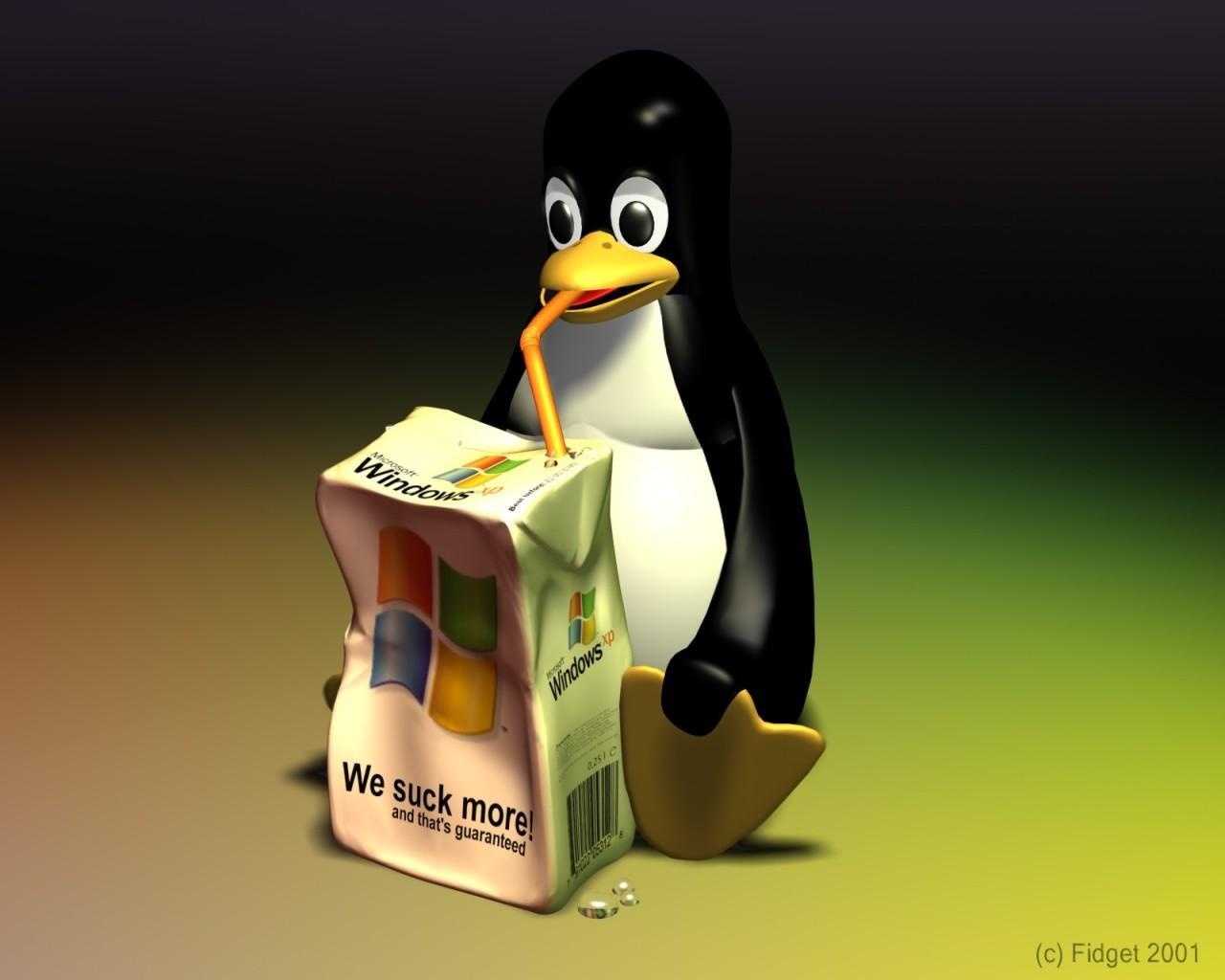 Linux Picture By Thabo Mosia Image Abyss