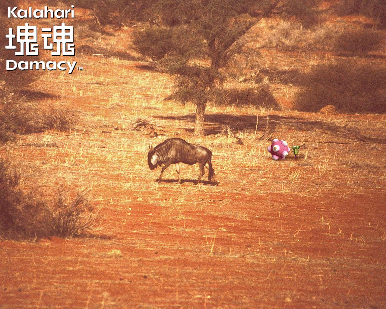 savanna video game Katamari Damacy Image