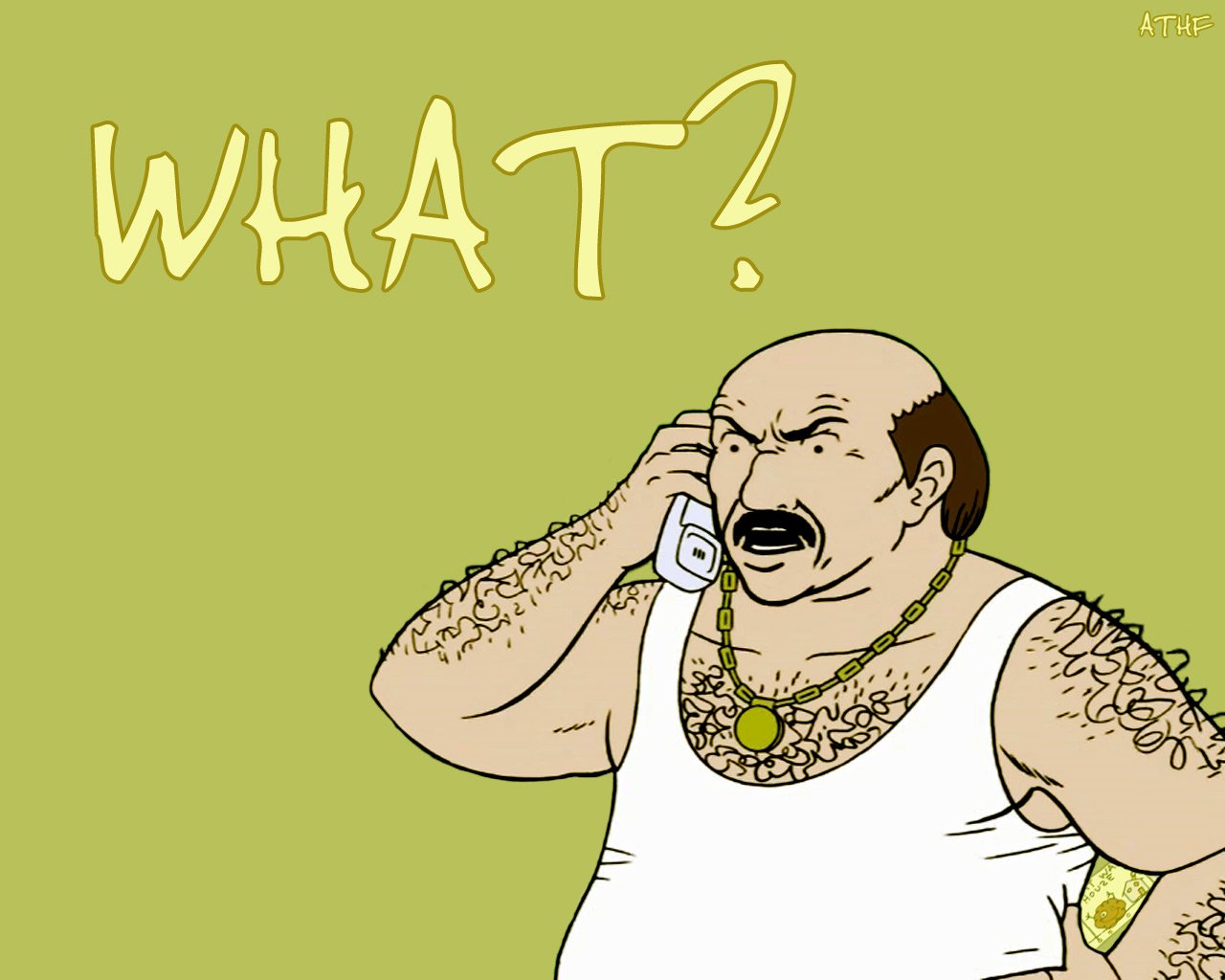 Adult Swim TV Show Aqua Teen Hunger Force Image