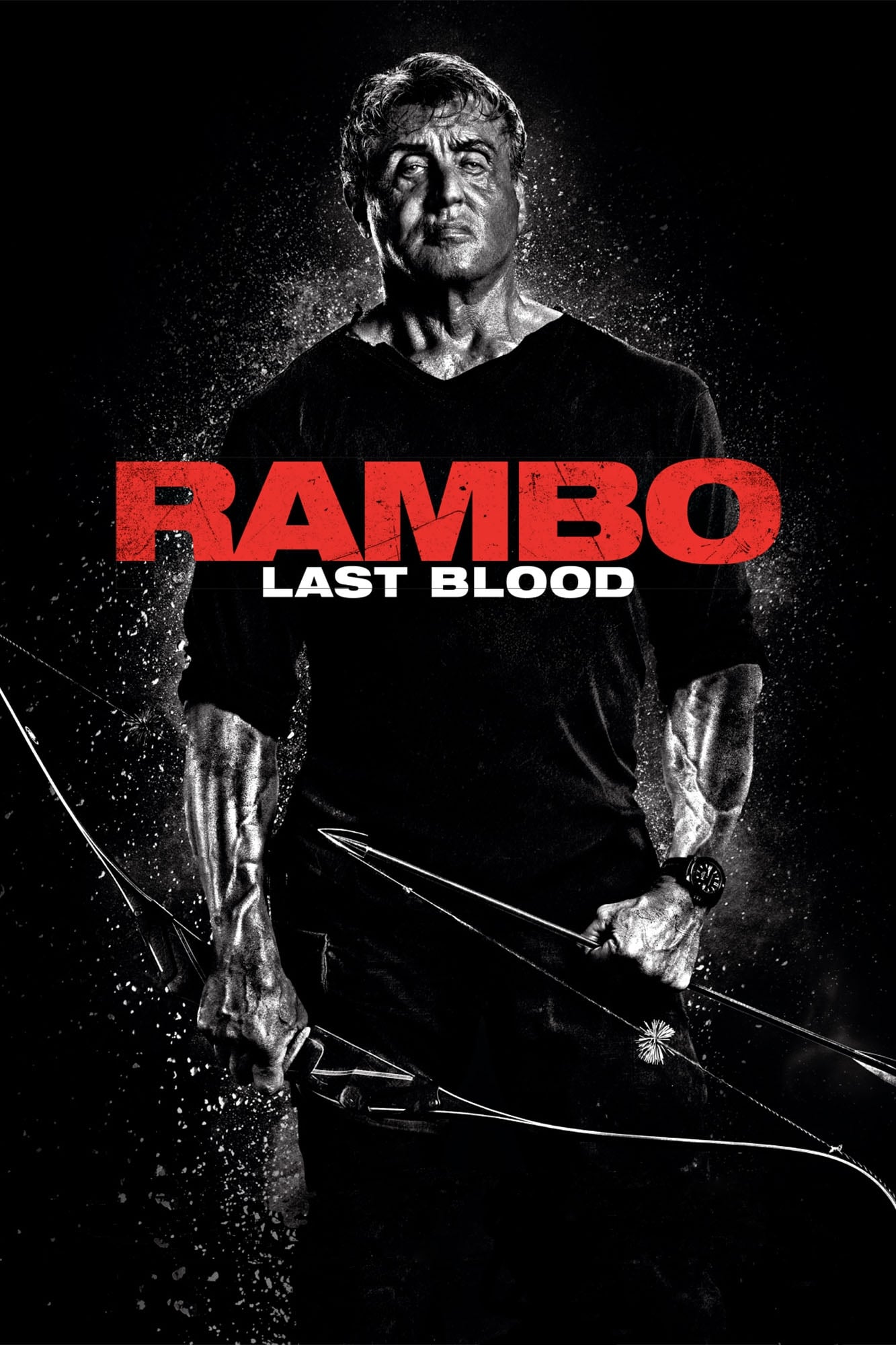 Rambo: Last Blood Picture