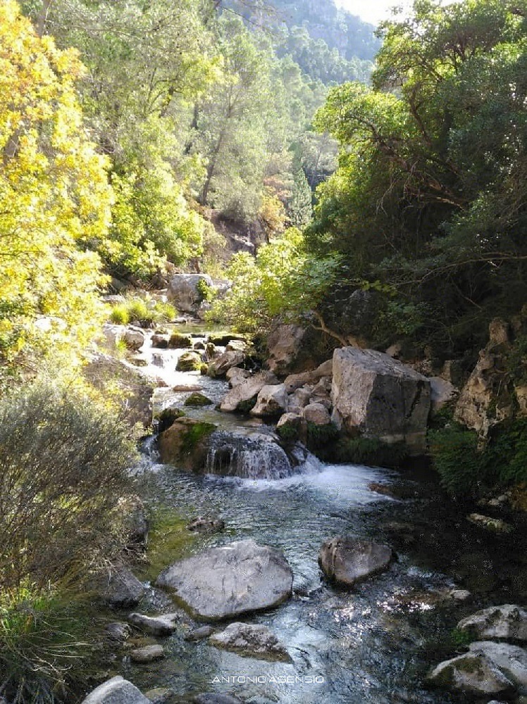 Borosa River in the mountain of Cazorla, Jaén (Spain) by Antonio Asensio