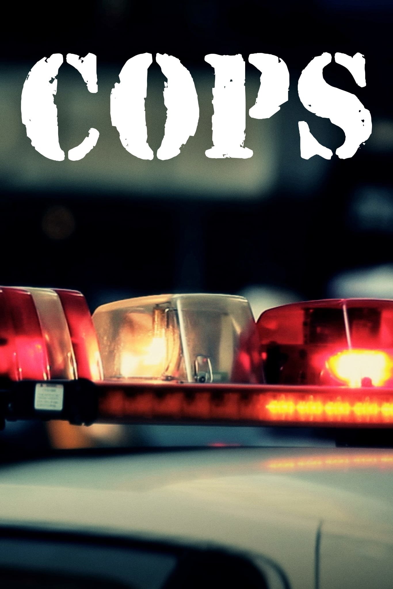 TV Show cop Image