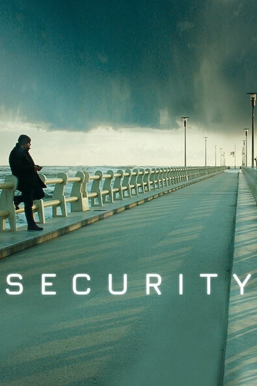 Security Picture