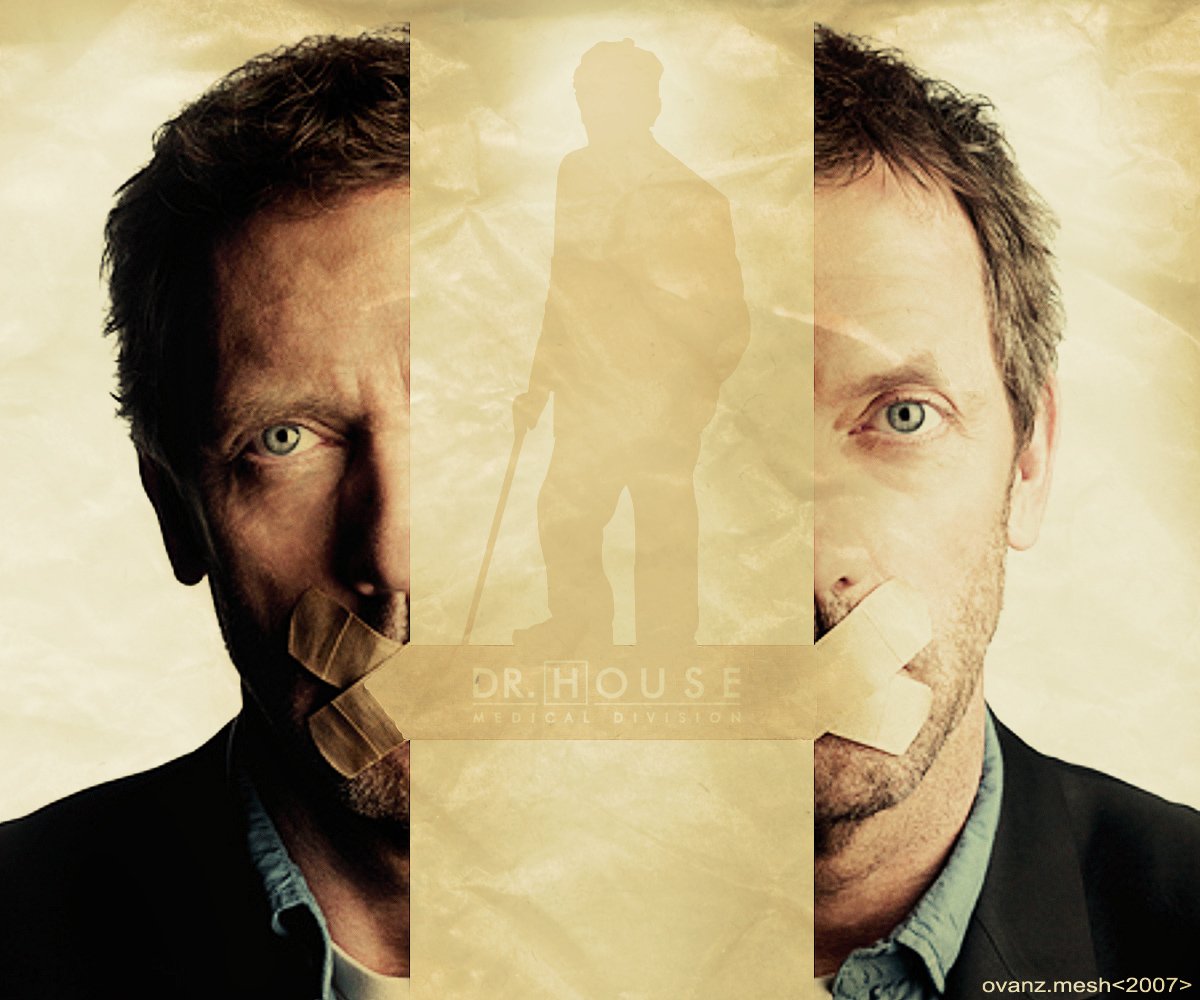 Gregory House Hugh Laurie TV Show House (2004) Image