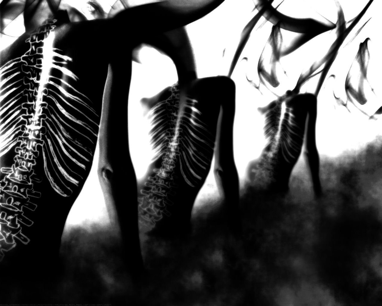 Artistic depiction of human figures outlined by skeletal structures, fading into a hazy background, exploring themes of mortality and existence.