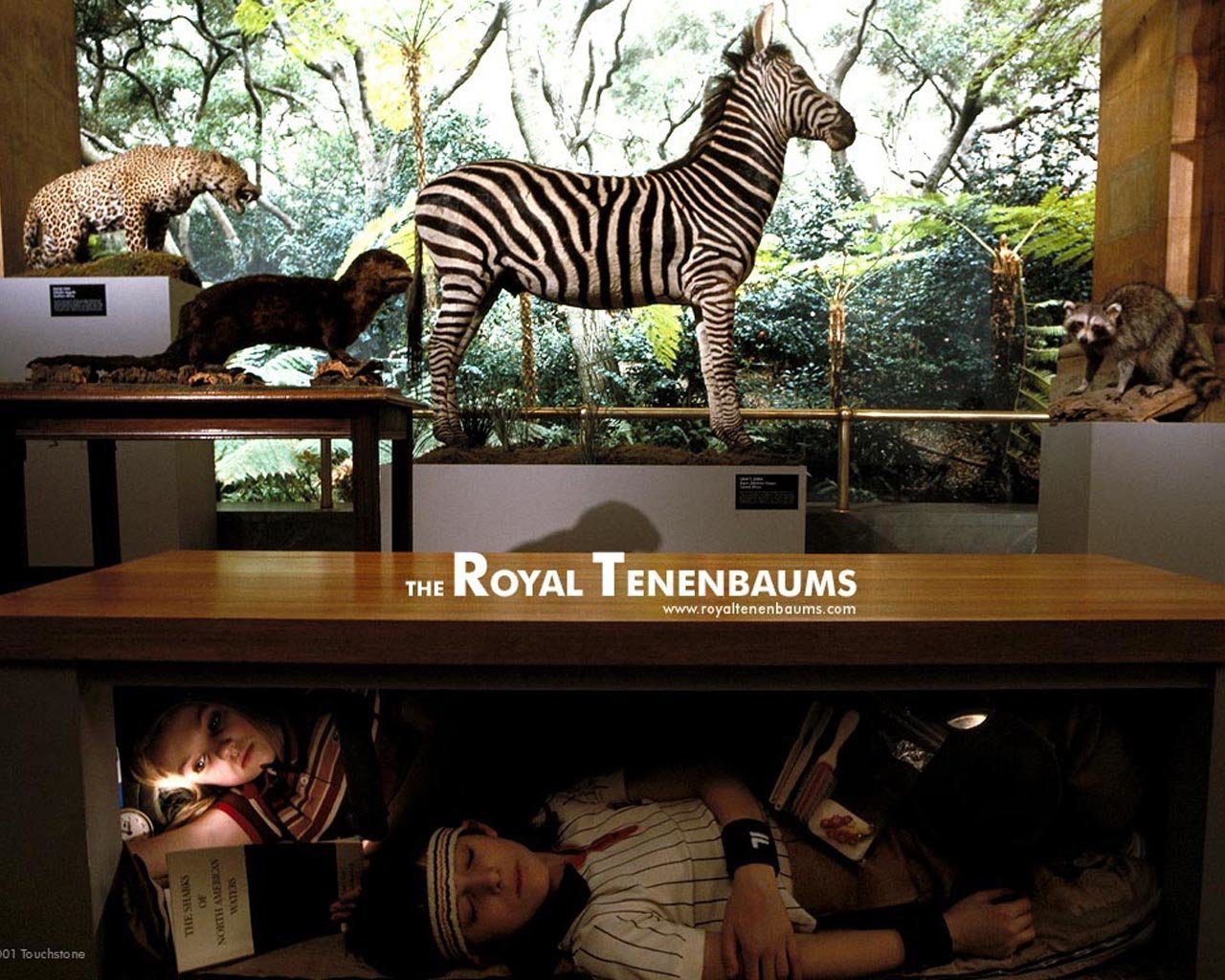 movie The Royal Tenenbaums Image