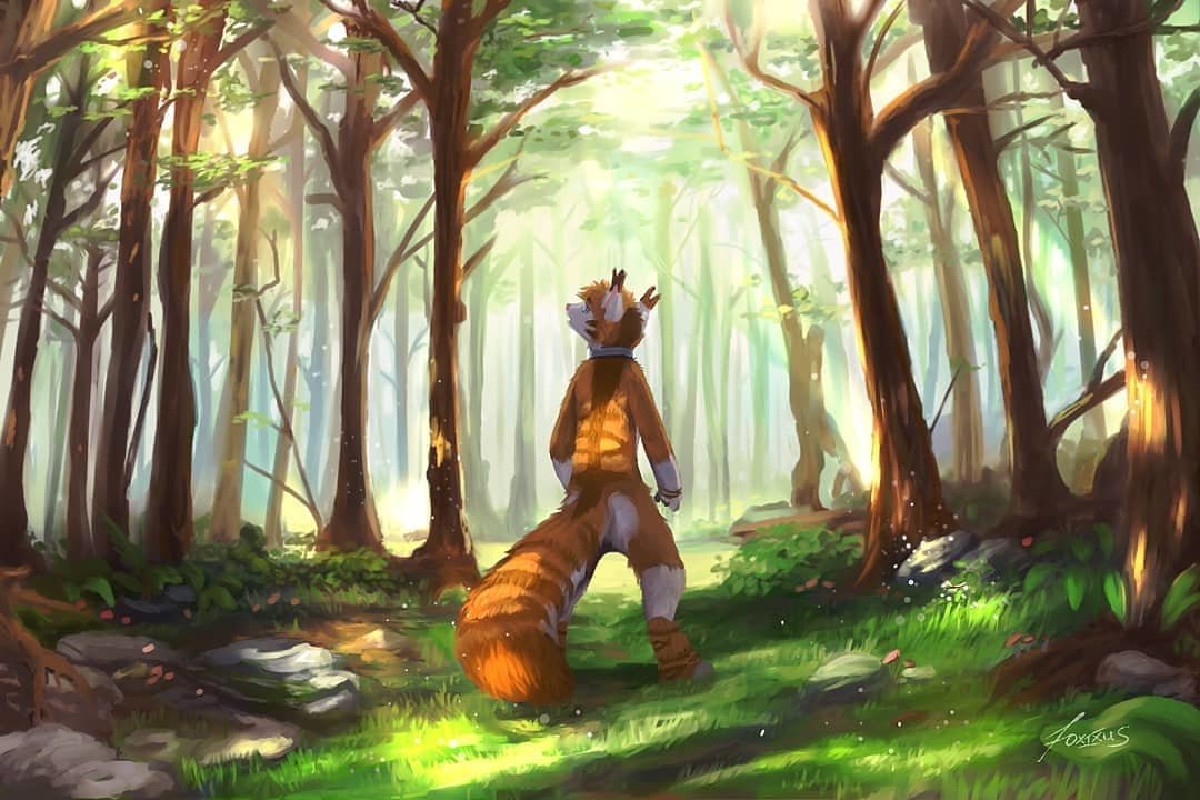 forest furry (anthropomorphic) Animal artistic Image