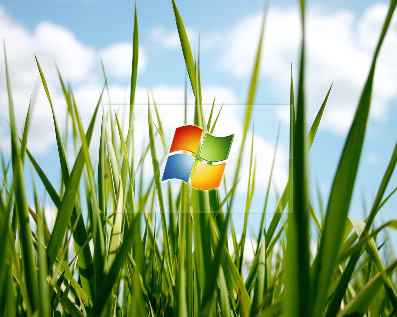 A vibrant green grass field under a blue sky with clouds, featuring the iconic Windows logo in the center, blending nature with technology.