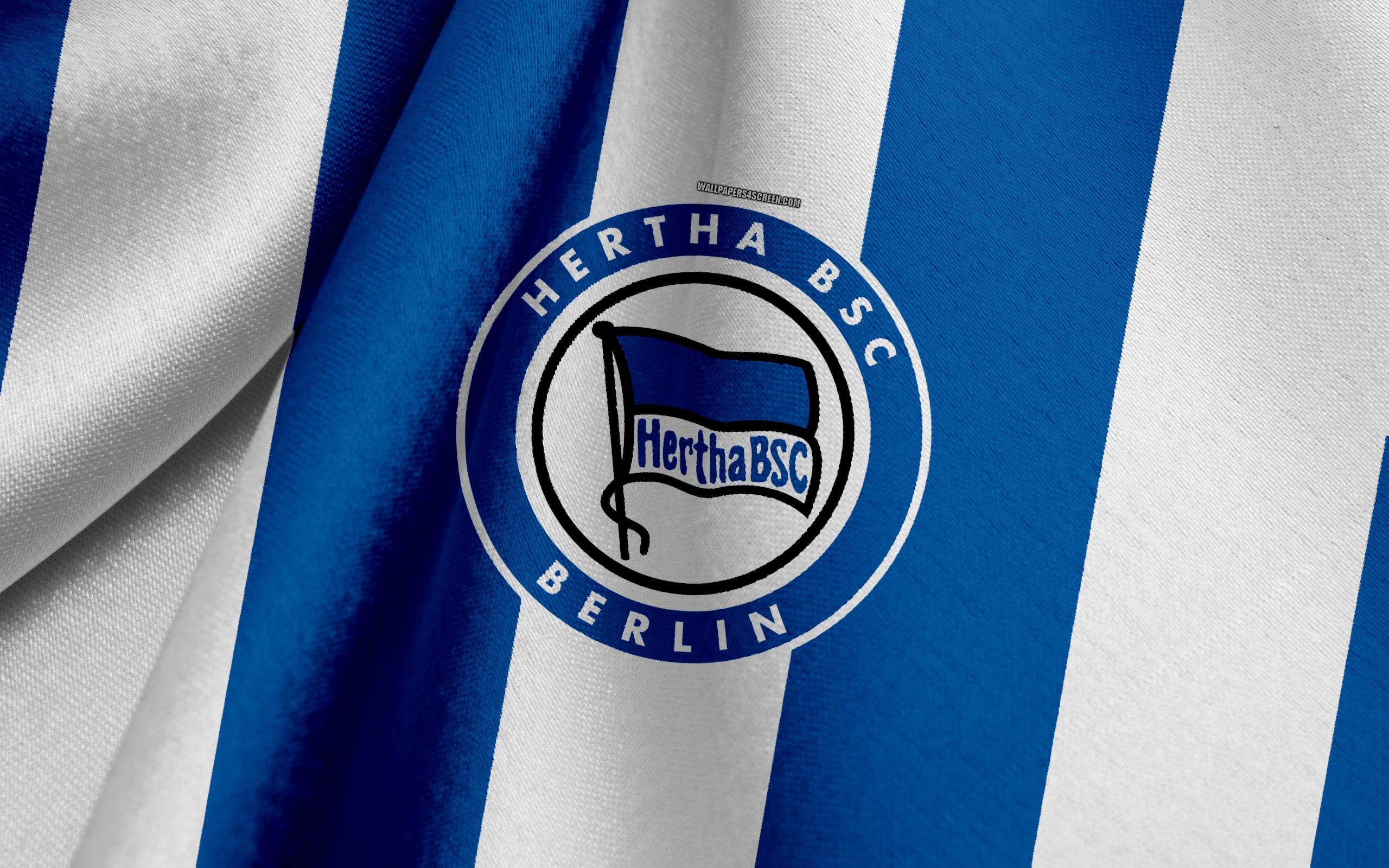 Hertha BSC Picture