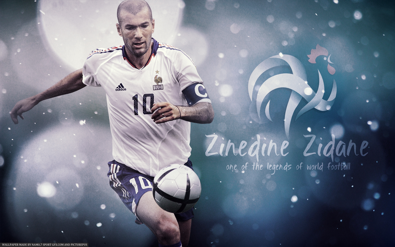 Zinedine Zidane Picture By Namik Amirov - Image Abyss