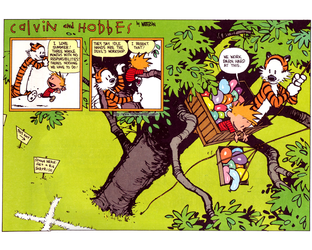 calvin & hobbes Picture