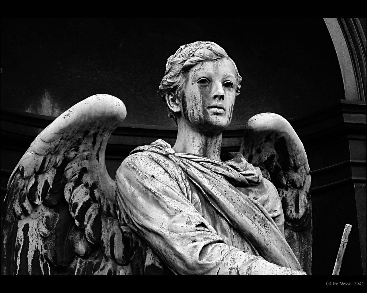 Angel Statue Picture