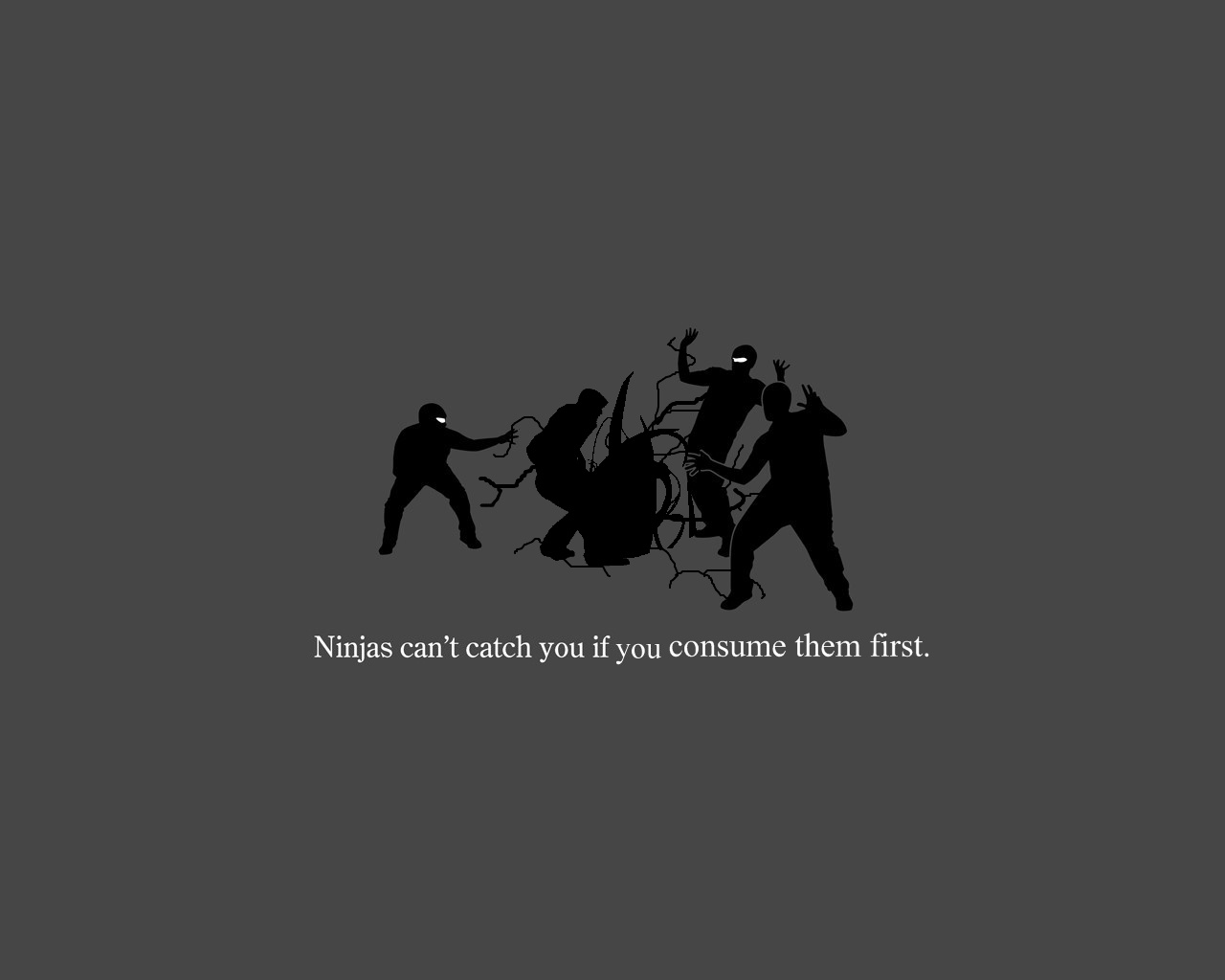 Ninjas Picture