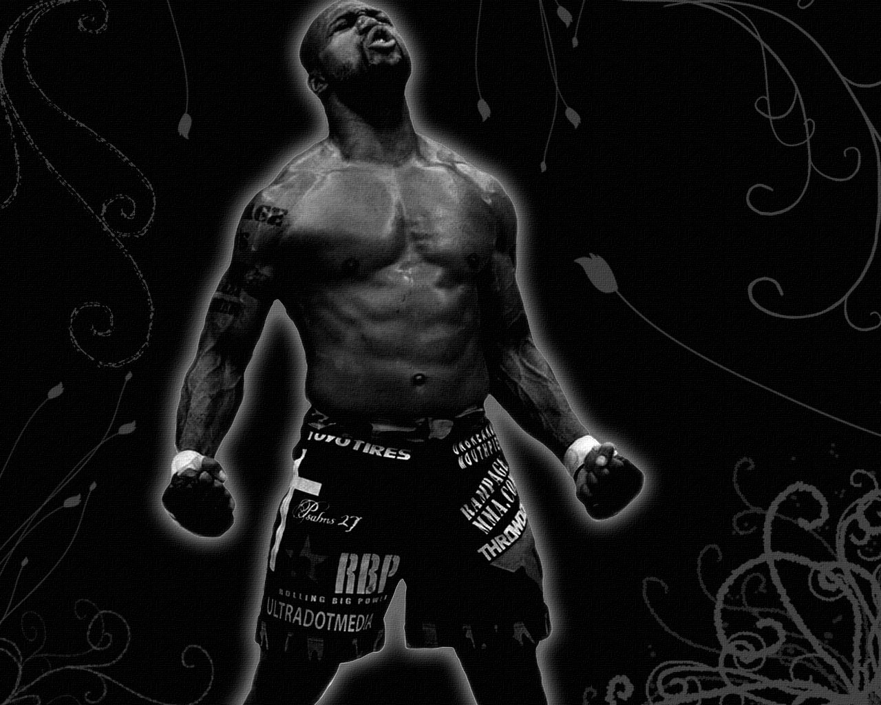 mixed martial arts MMA boxing Sports Image