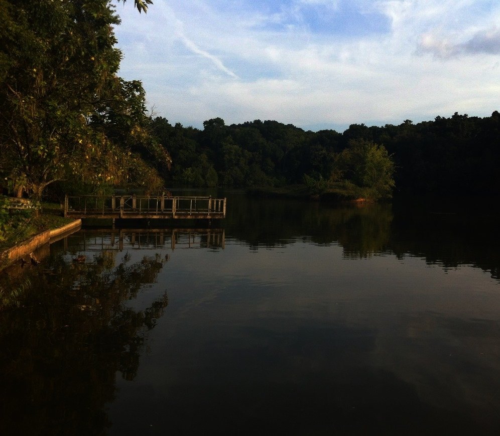 photography nature Image