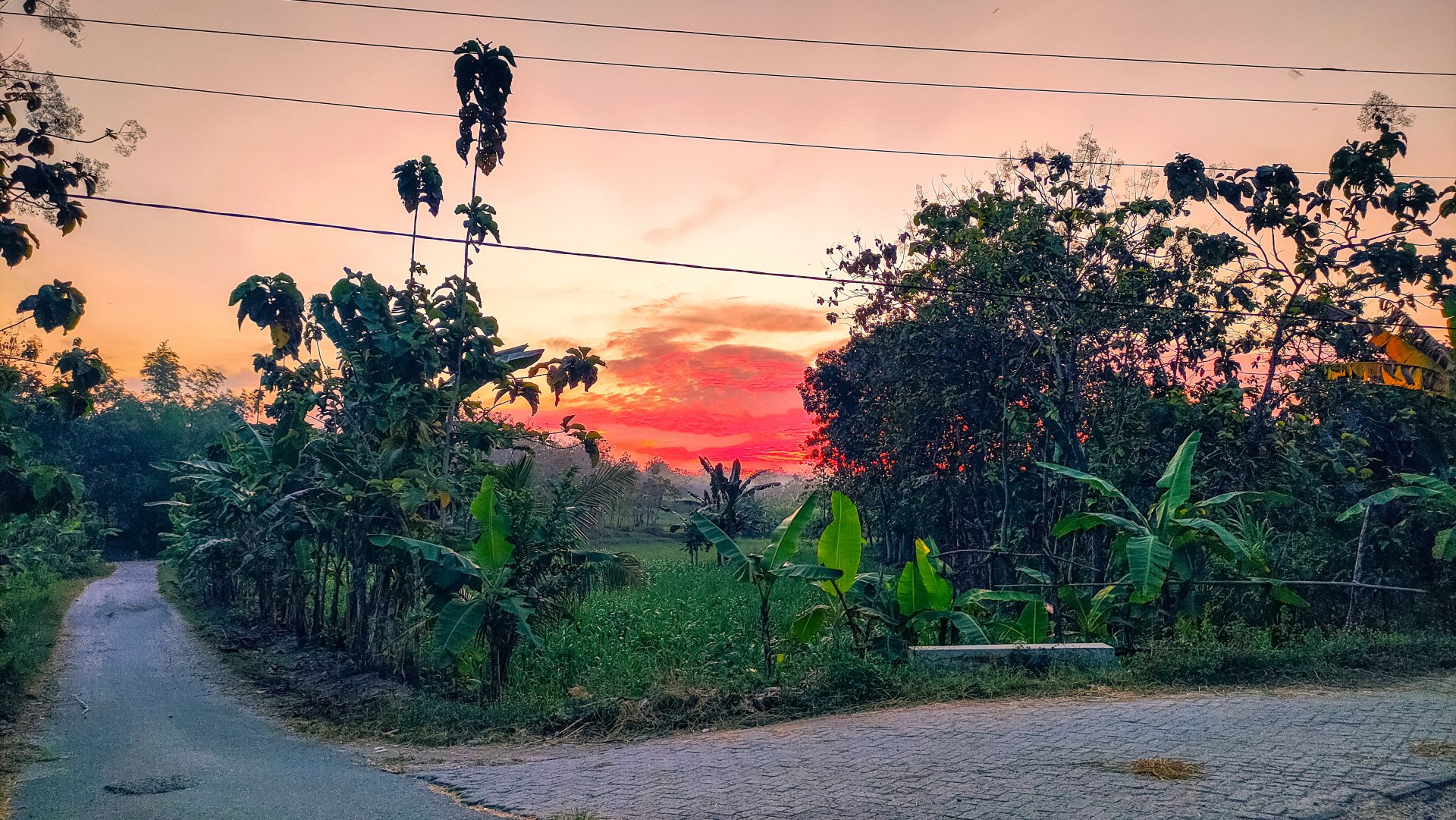  Orange sunset from quit street