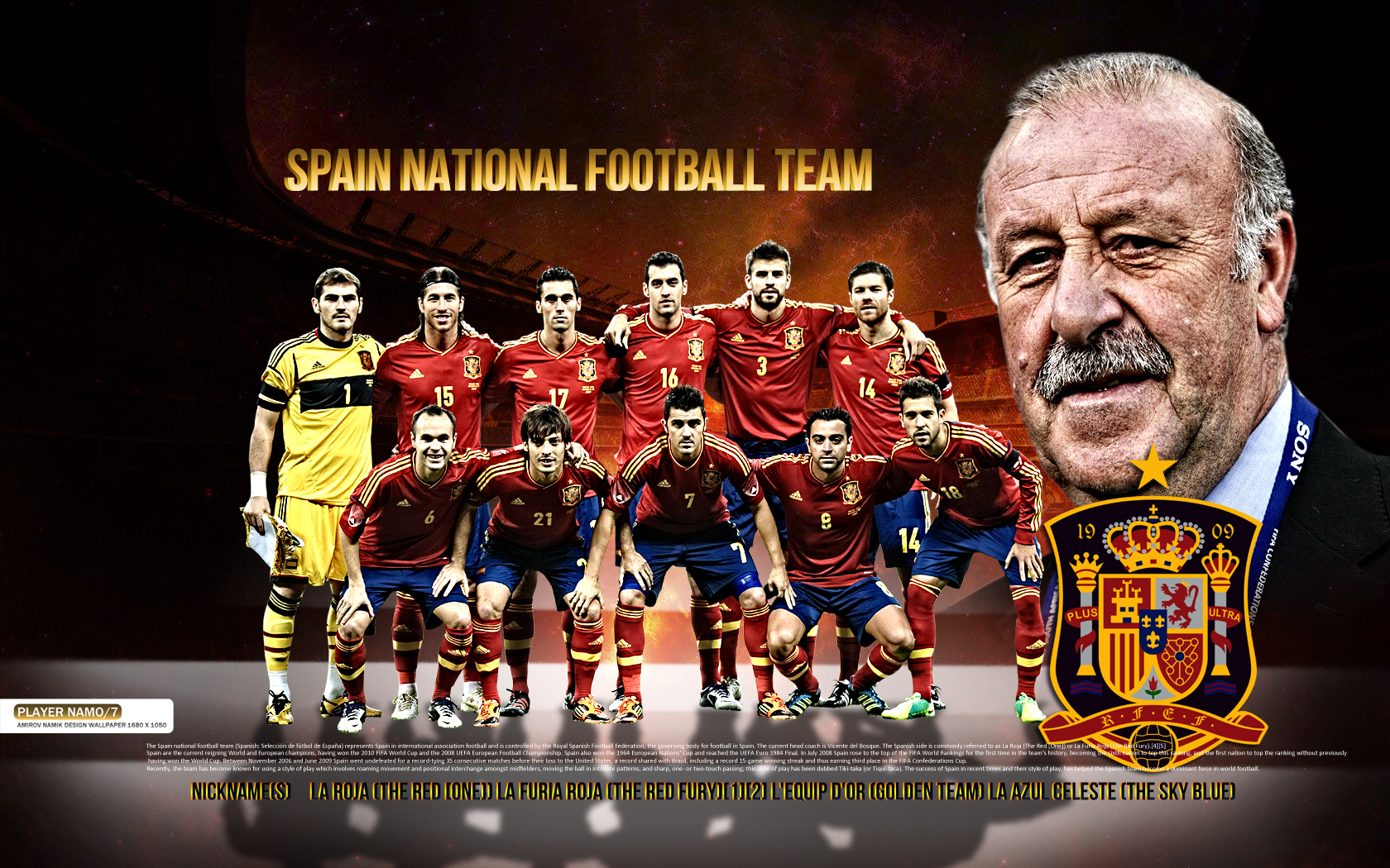 Spain National Football Team Picture by Namik Amirov