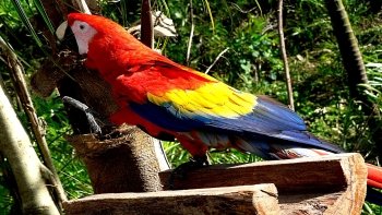 Preview Image 467395