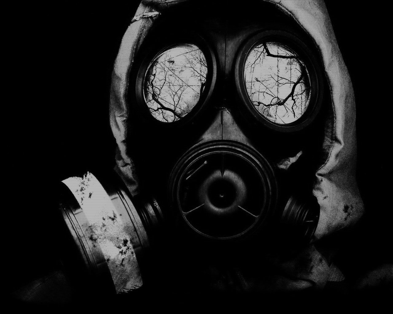 A figure wearing a military gas mask stands against a dark background, with the eerie reflection of bare trees visible in the mask's lenses.