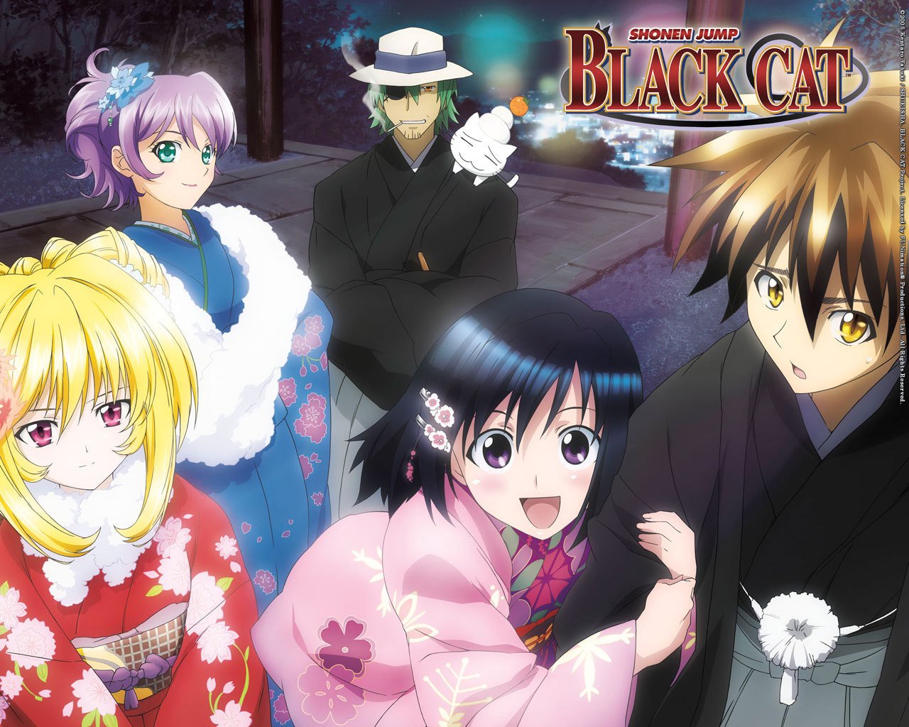 Anime Black Cat (Anime) Image