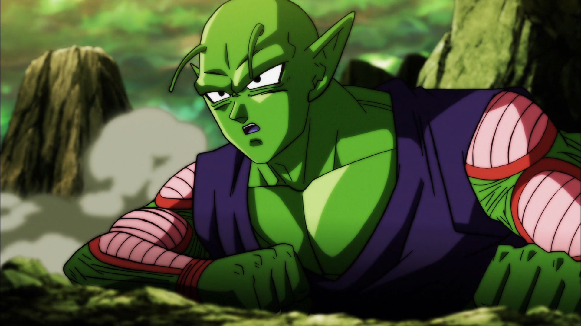  Piccolo