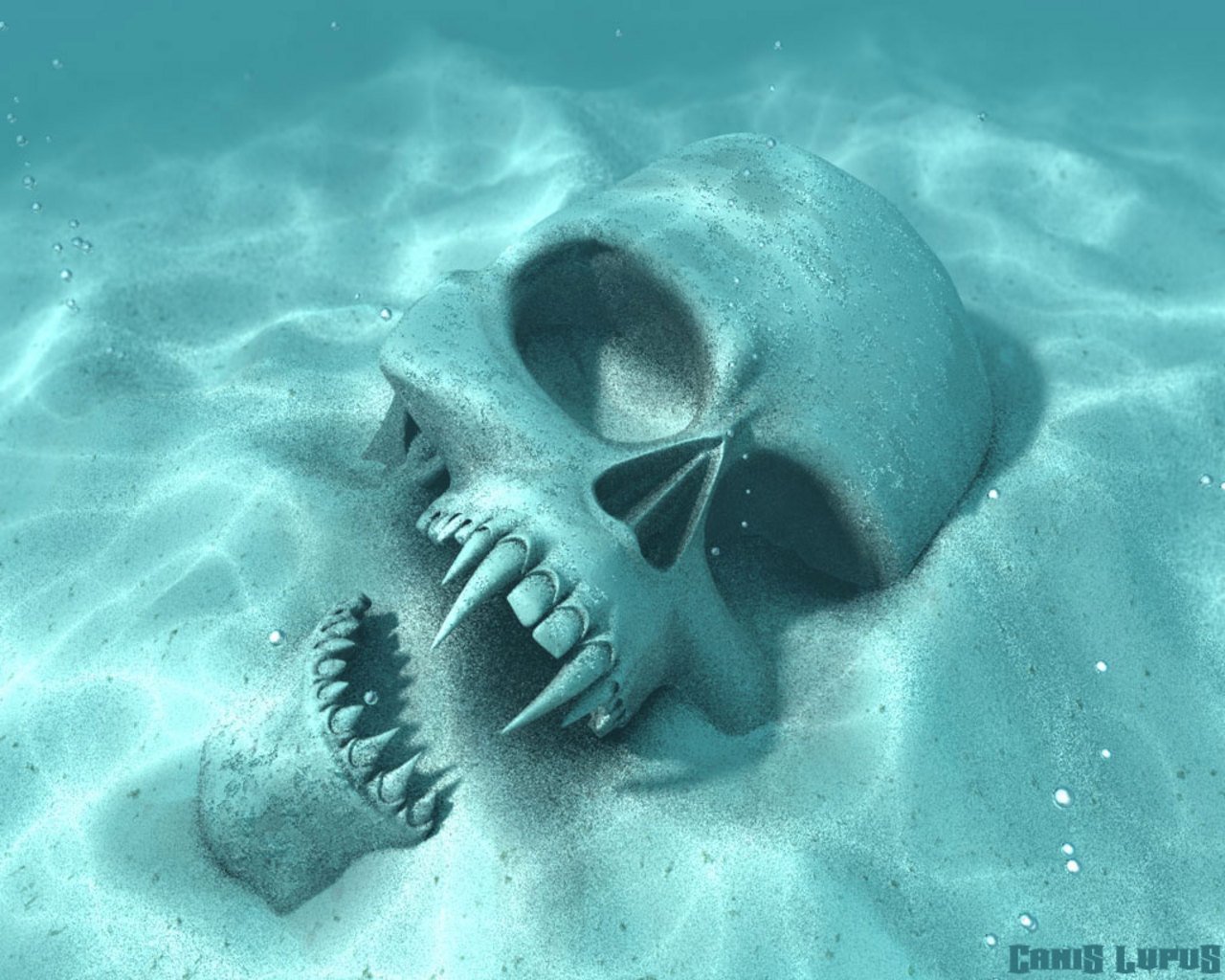 dark skull Image