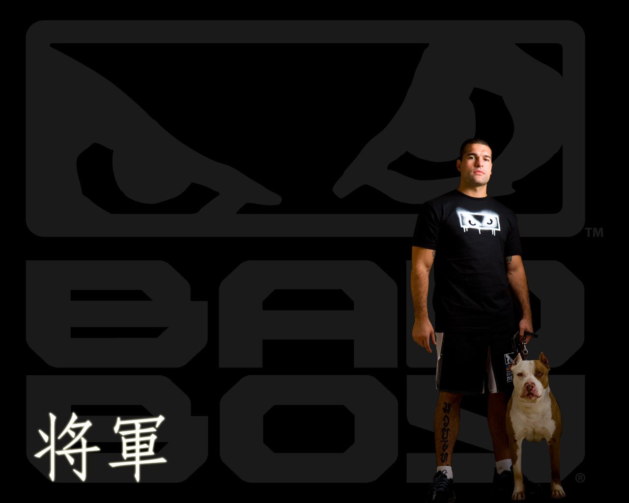 MMA mixed martial arts Sports Image