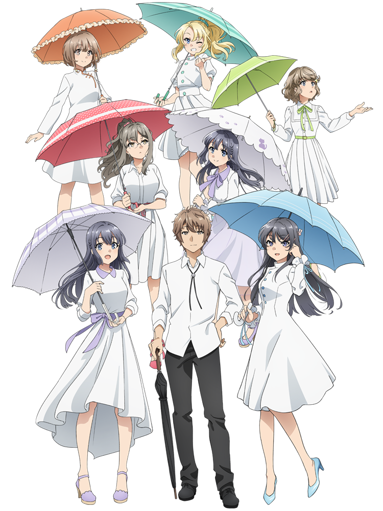 Download Anime Rascal Does Not Dream Of Bunny Girl Senpai Image