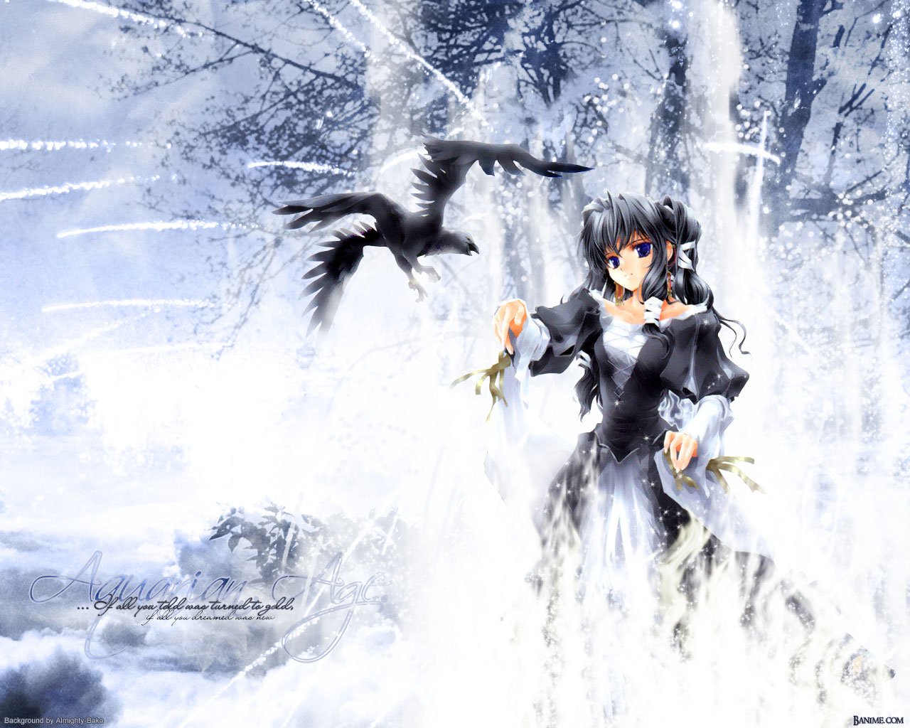 Anime Aquarian Age Image