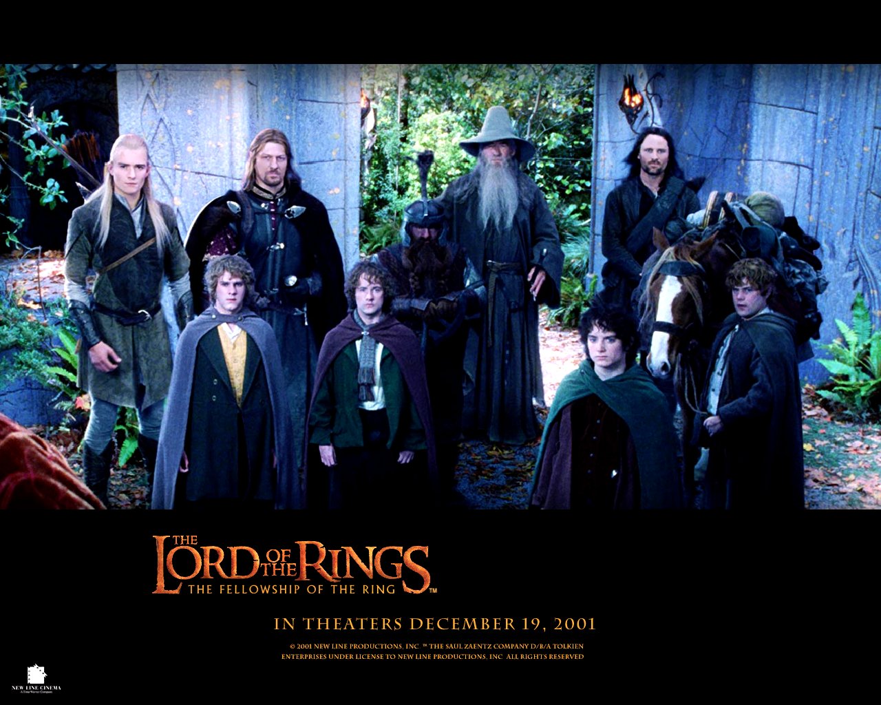 The Lord of the Rings: The Fellowship of the Ring Picture