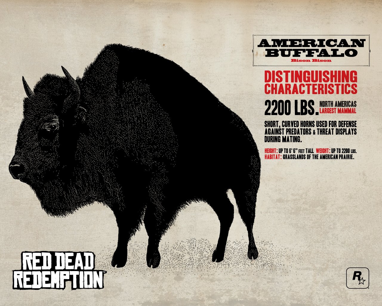 Download Video Game Red Dead Redemption Image