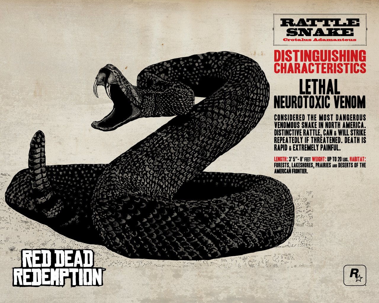 Download Video Game Red Dead Redemption Image