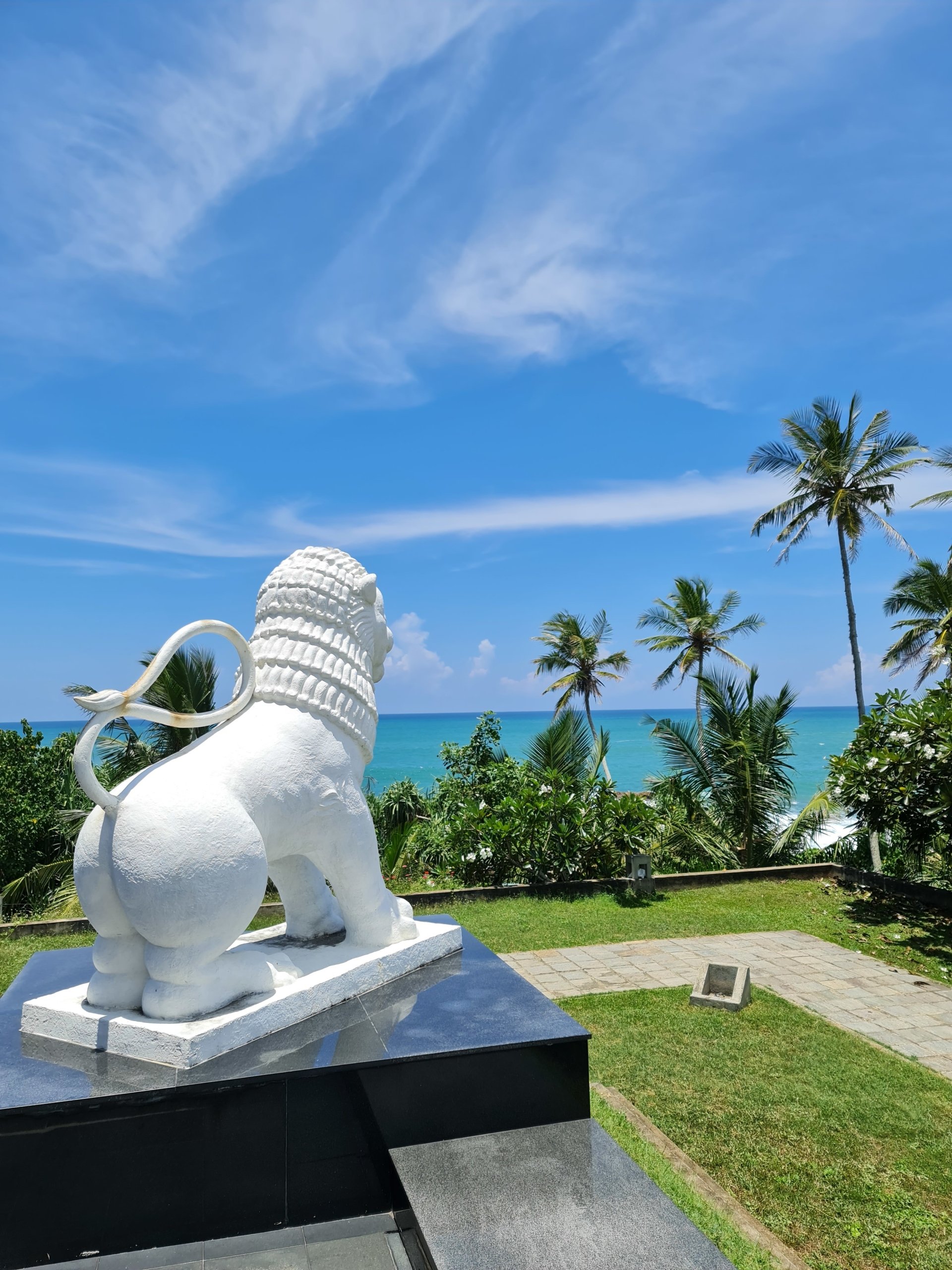  over looking the sea