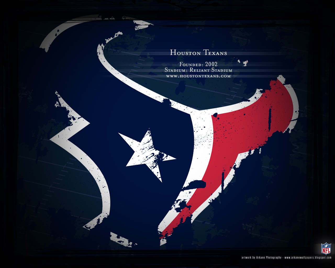 Houston Texans Picture