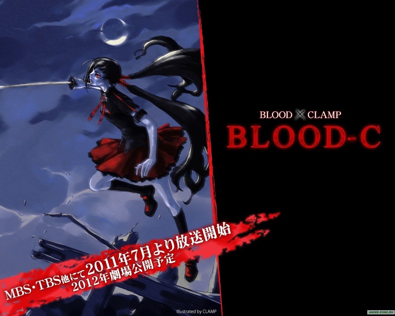 Saya Kisaragi Anime Blood-C Image