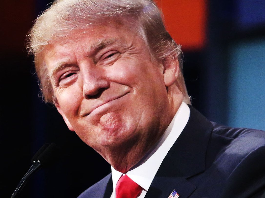 Celebrity Donald Trump politician public figure presidential candidate Image