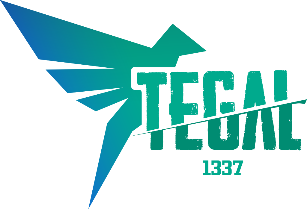 Tegalsec technology logo Image