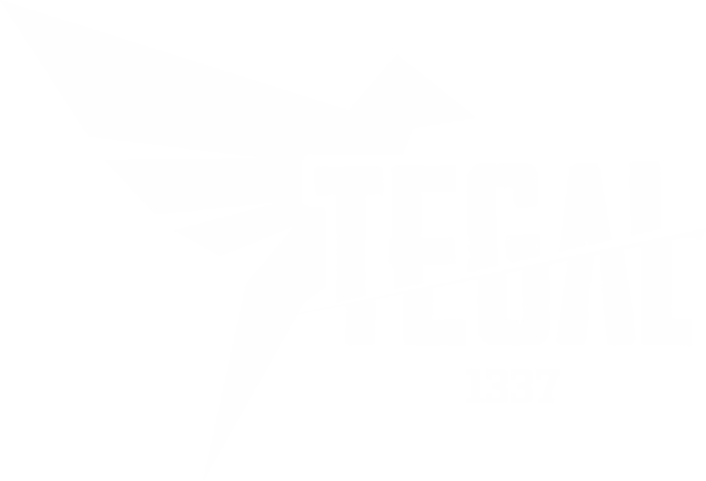 Tegalsec technology logo Image