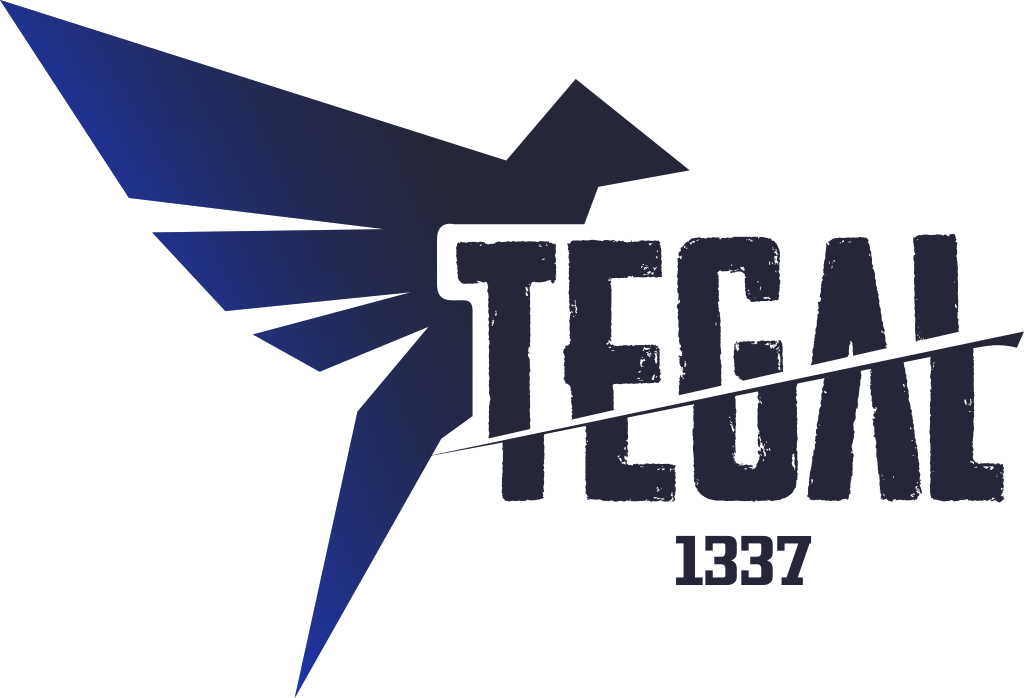 Tegalsec technology logo Image