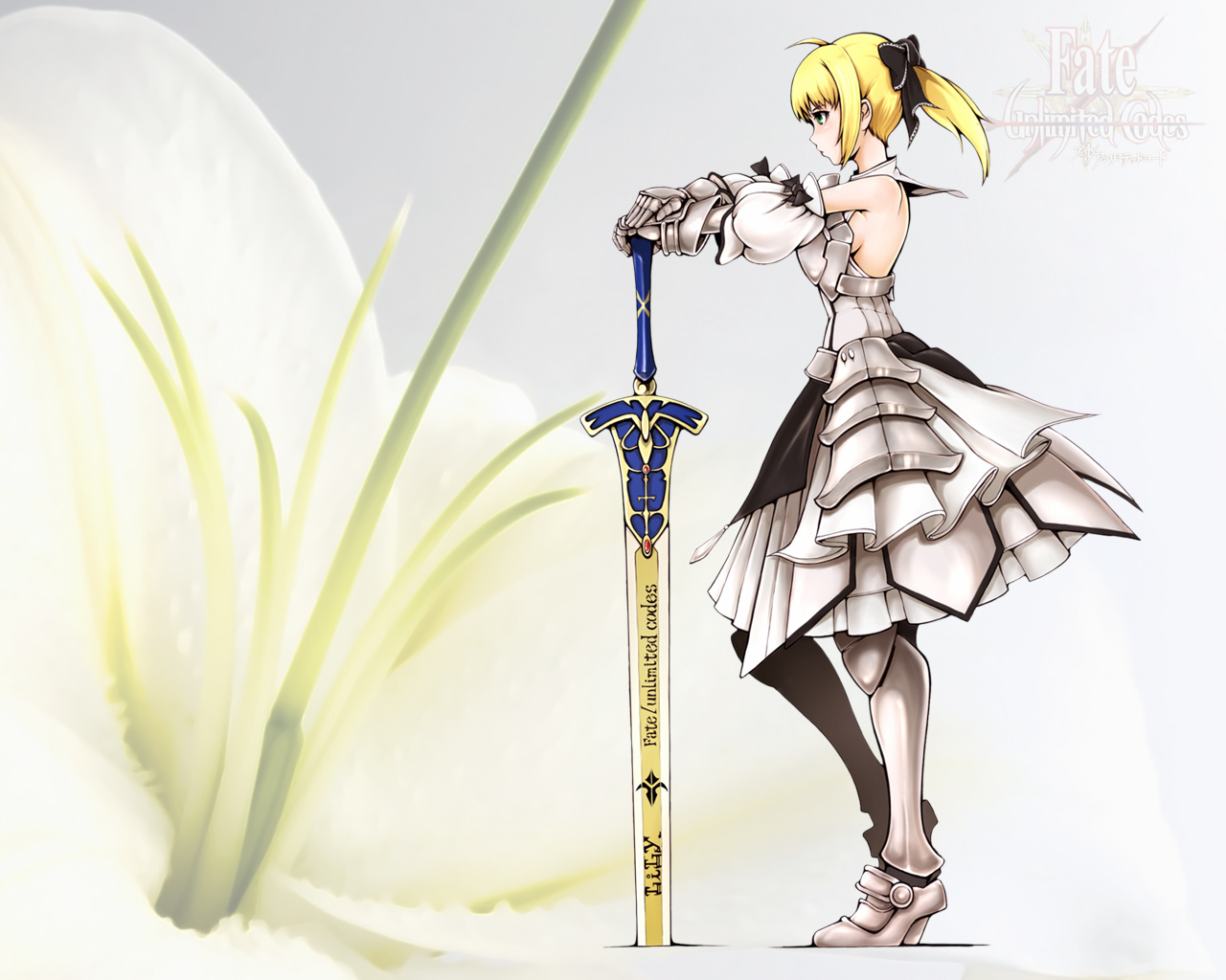 Anime Fate/unlimited codes Picture