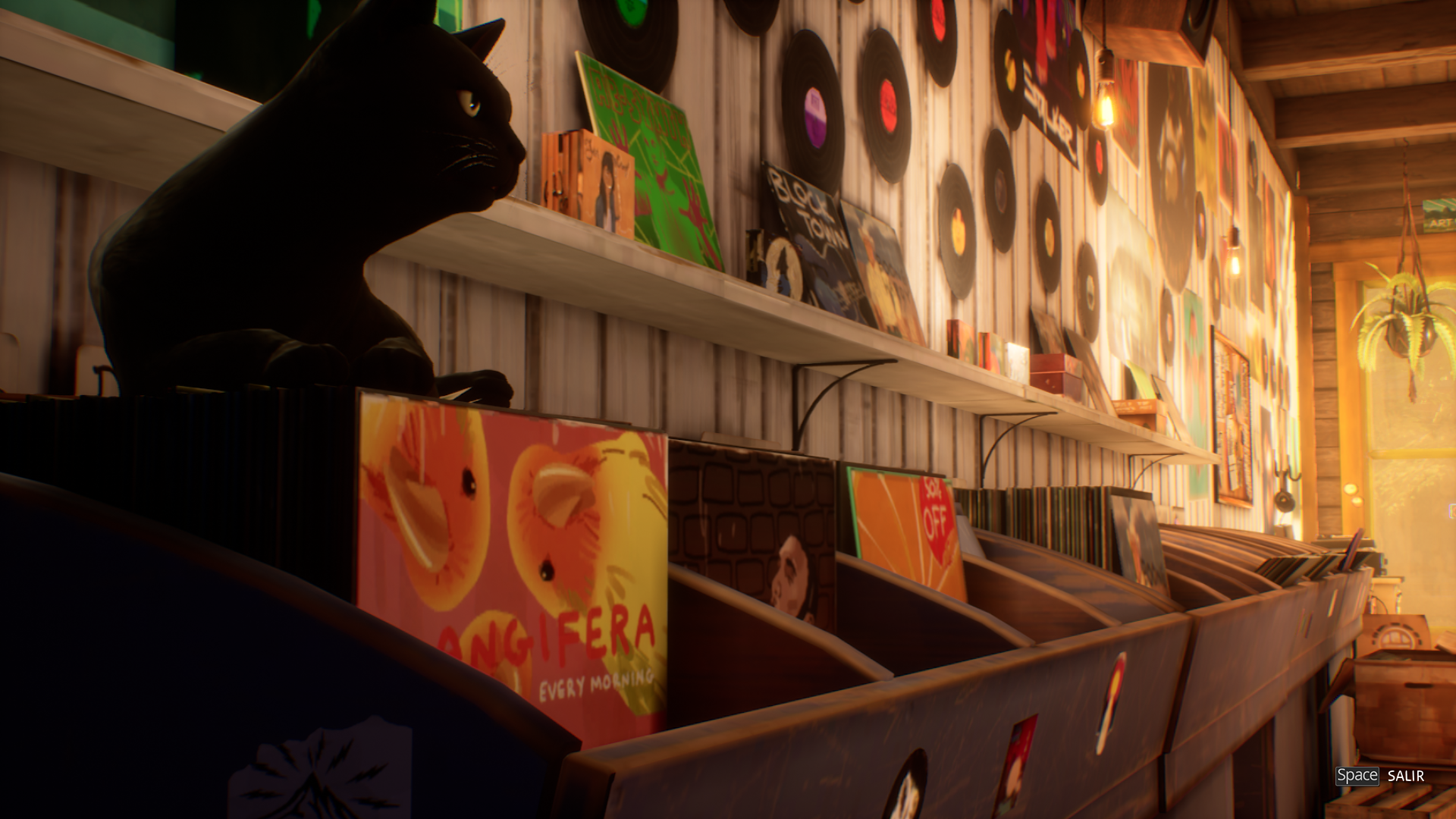 Life Is Strange: True Colors record store cat video game Image