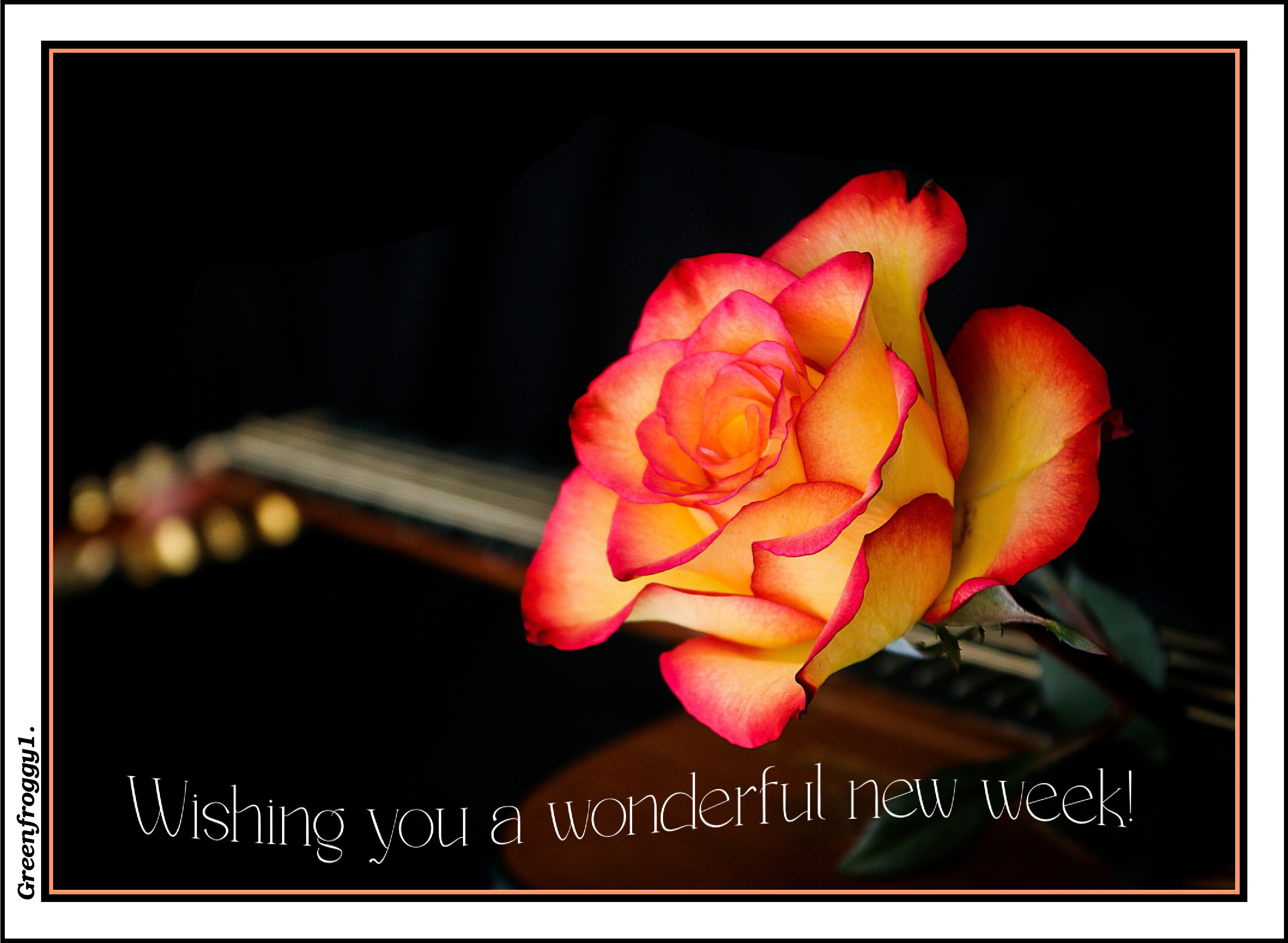 WONDERFUL WEEK by GREENFROGGY1