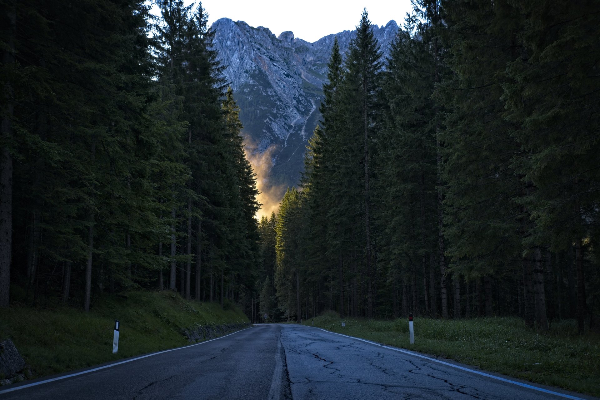 Trentino Italy forest man made road Image