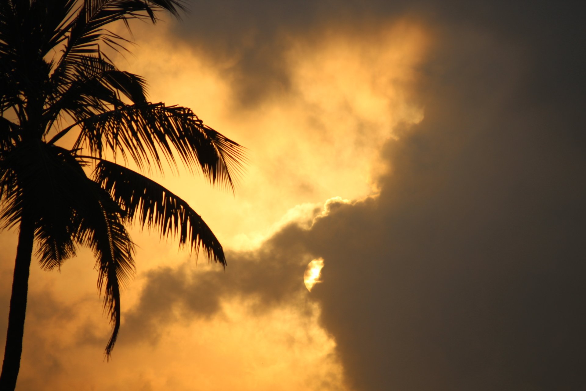  Golden Hour Sunshine Capture