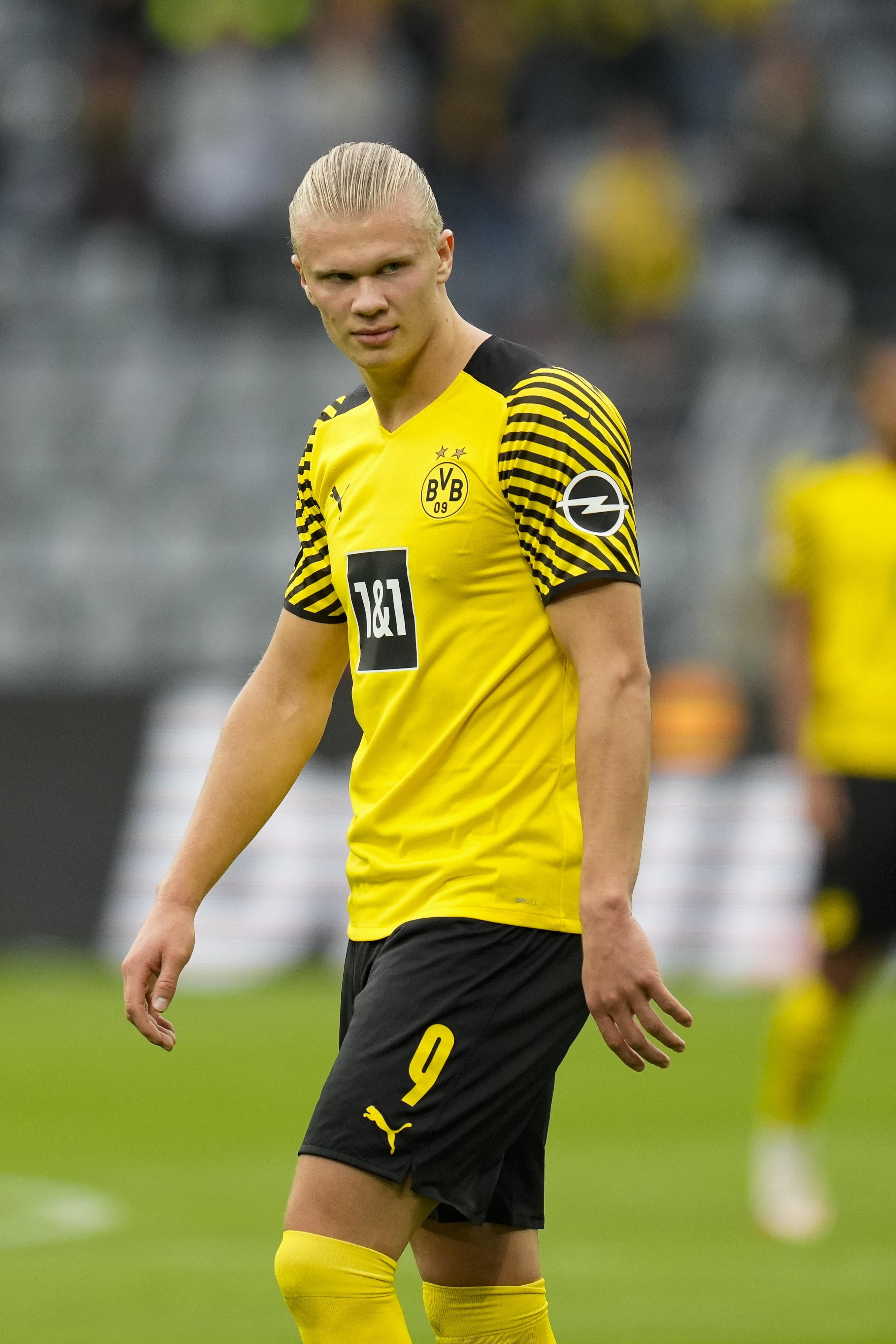 Erling Haaland Picture